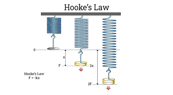 Hooke's Law